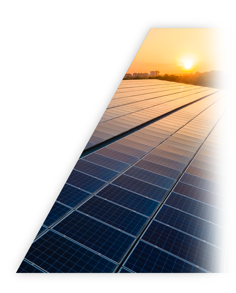 今年会·(中国集团)官方网站